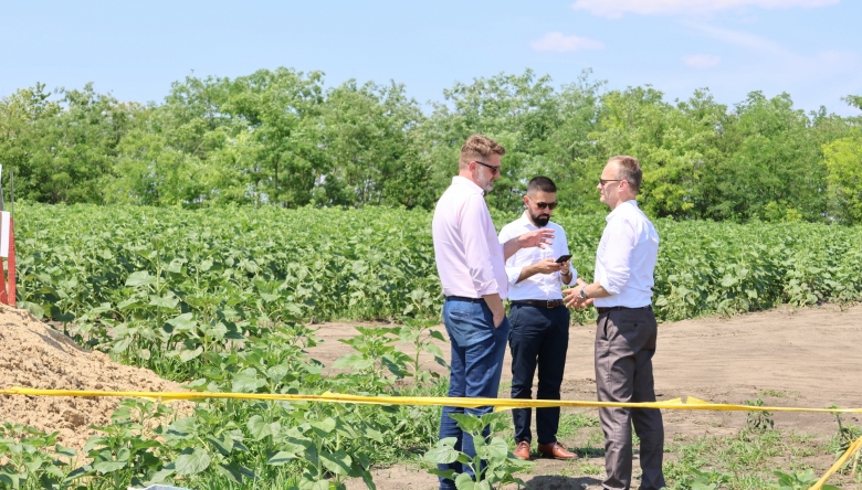 Ambasadorul României în Republica Moldova a apreciat proiectul construcției liniei electrice aeriene 400kV Vulcănești-Chișinău