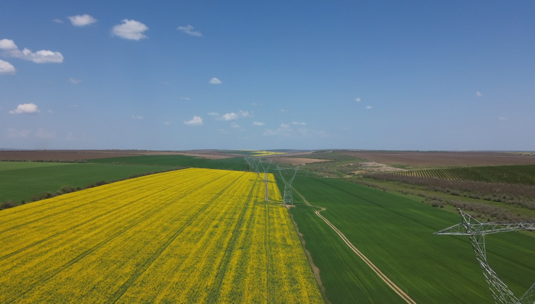 Lucrările de construcție se extind pe 70% din lungimea totală a Liniei Vulcănești-Chișinău
